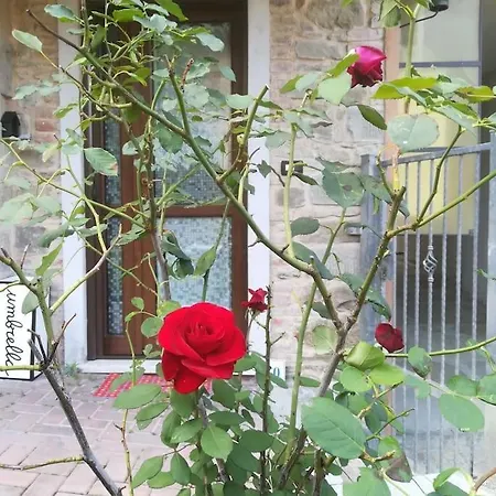 Apartman Poli Con Giardino Castiglione dei Pepoli
