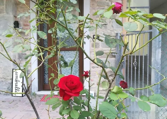 Apartament Poli Con Giardino Castiglione dei Pepoli